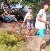 Video | Captan en cámaras a jóvenes cazando pelícanos en Barranquilla