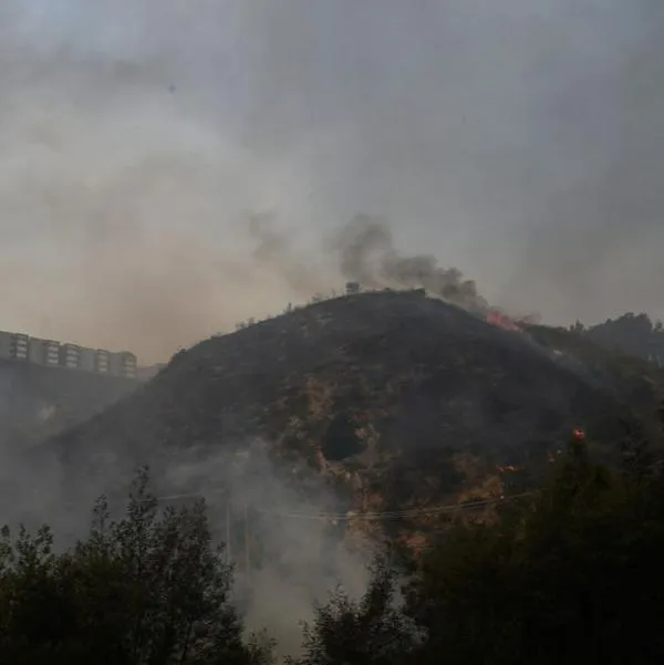 Foto de Incendios forestales en Valparaiso, Chile