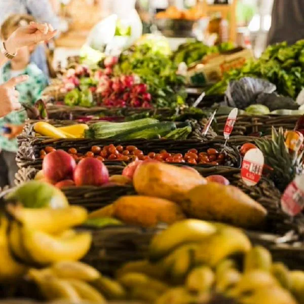 Alimentos Colombia 2024: Bogotá, Cali y Cartagena gastaron más dinero en comida