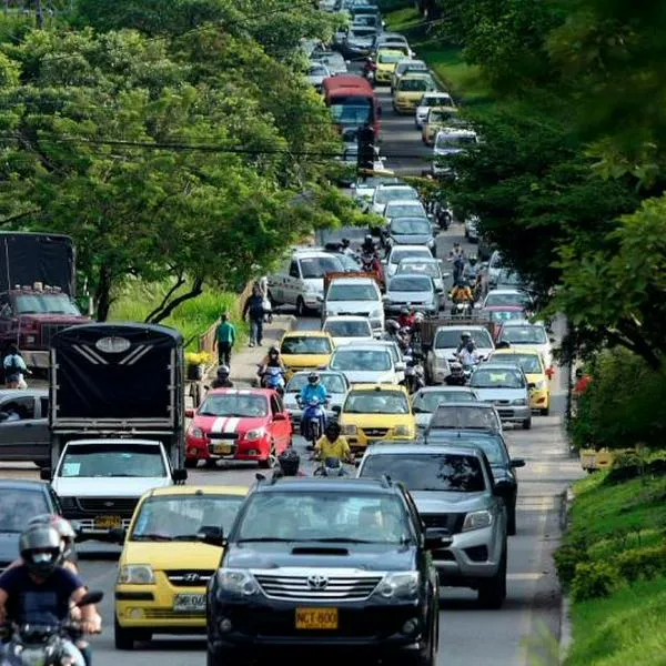 Pico y placa en Ibagué cambiará. Desde hoy y hasta el 9 de febrero 