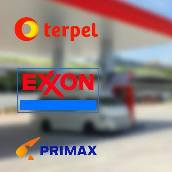Terpel, Exxon y Biomax son algunas de las empresas que más dinero mueven en Colombia con la venta de gasolina.