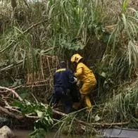 Perro fue arrastrado por la corriente en río Yumbo: Bomberos lo rescataron