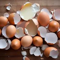 Cáscara de huevo, en nota sobre cómo hacer crema para el cuerpo con membrana 