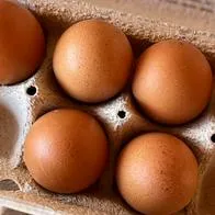 Precio del huevo superaría los $1.300 con alza del ACPM, asegura Fedetranscarga