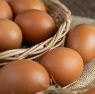 Fenavi señaló que el precio del huevo no se dispararía si sube el ACPM en Colombia y explicó de qué depende la situación.