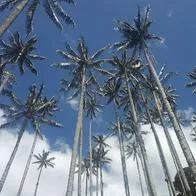 Conozca el Valle de la Samaria
