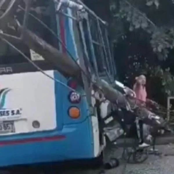 Bus chocó contra un poste en Manizales y provocó la trágica muerte de una mujer que paseaba a su perro