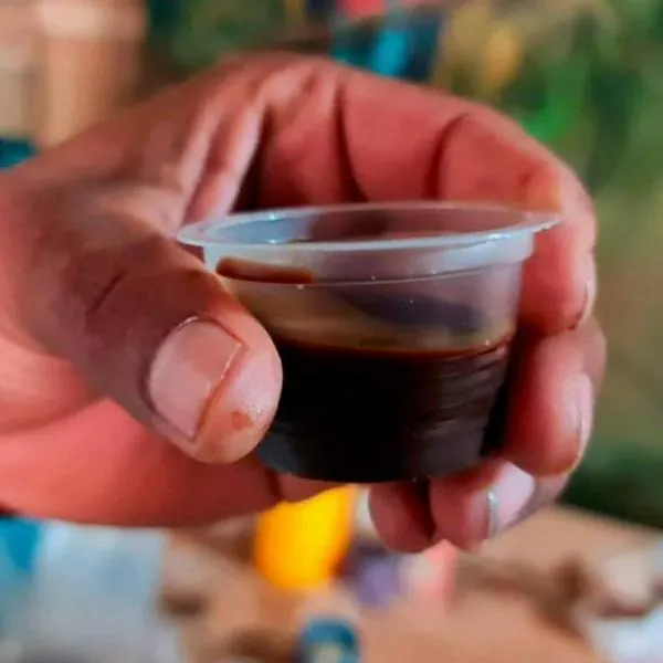 Qué tan peligroso es beber yagé o ayahuasca: médico explica y da recomendaciones