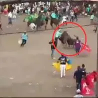 Caballo rmurió en medio de corralejas en Córdoba