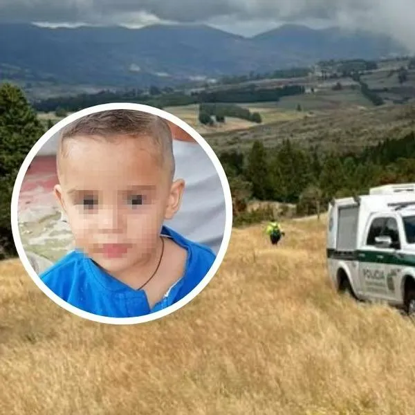 Caso de Dilan Santiago Castro: esta es cronología de la desaparición del niño de dos años, cómo fue hallado en Usme (Bogotá) e hipótesis sobre su muerte.