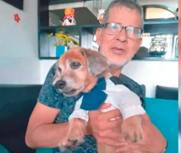 Su amo murió y Lucho se perdió