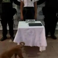 Menor de 17 años es señalada de drogar a extranjero en Medellín para robarlo