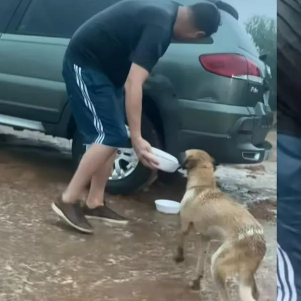 Video | Hombre se hizo viral tras rescatar animales callejeros afectados por inundaciones