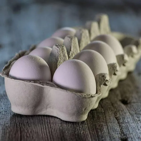 Foto de huevos, en nota de por qué se venden en docenas: verdadera razón y cuánto valen en Colombia