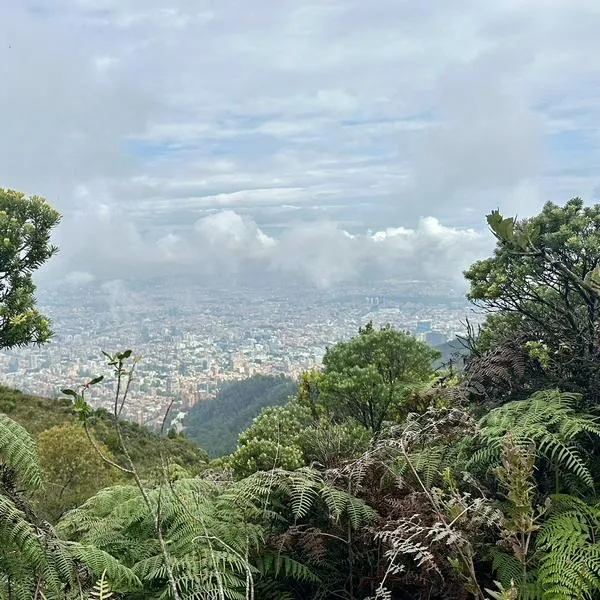 Cómo estará el clima en Bogotá este miércoles 14 de febrero de 2024.