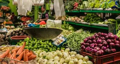Casanare: nueva planta de Urea impulsaría industria y producción de alimentos