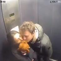 Viral | “Soñé contigo”: perrito besando a pareja en ascensor enternece redes sociales