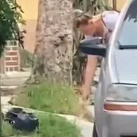 Mujer es captada arrojando veneno a perritos al sur de Medellín: “Mi propiedad”