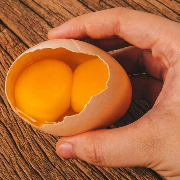 Foto de huevo, en nota de por qué hay estos alimentos con dos yemas: explicación real y si su consumo es saludable