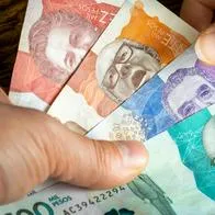 Multa de $ 173.000 a dueños de perros que no recojan heces en los parques