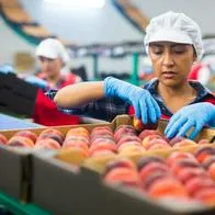 Imagen de trabajadora por noticia sobre reforma laboral y pensional.
