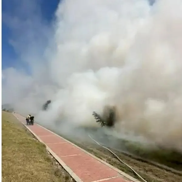 Gran incendio en la Calle 80 de Bogotá: se prendió el humedal Jaboque.