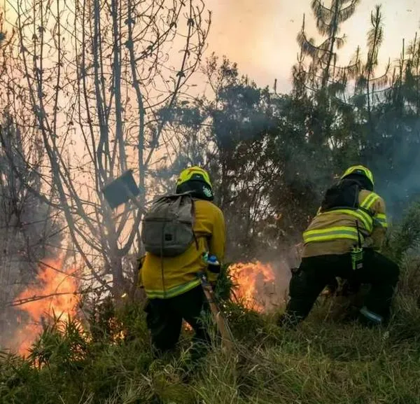 Colombia tiene más de 400 alertas de incendios para este jueves