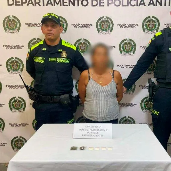 Mujer intentó ingresar droga camuflada en presas de pollo a la cárcel de Andes.