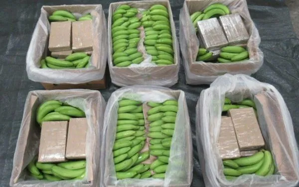 Histórico cargamento de cocaína incautado en Reino Unido salió de Santa Marta