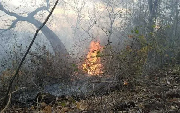 Bomberos liquidaron incendio forestal en cerro Hurtado de Valledupar: preocupa contaminación del bosque  