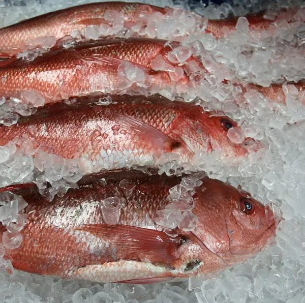 Imagen de pescado por nota sobre pescados baratos en Cuaresma