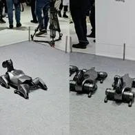 Cuánto cuesta el perro robot Xiaomi CyberDog 2