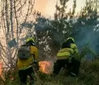 Incendios forestales causan preocupación en Medellín: van 186 emergencias