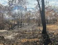 Colombia podría enfrentar crisis energética por fenómeno de El Niño, advierte contralor en funciones