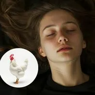 Qué números del Baloto puedo jugar si sueña con una gallina blanca y significado