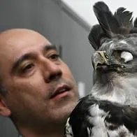 Está en peligro colección de aves de Universidad Nacional de Colombia