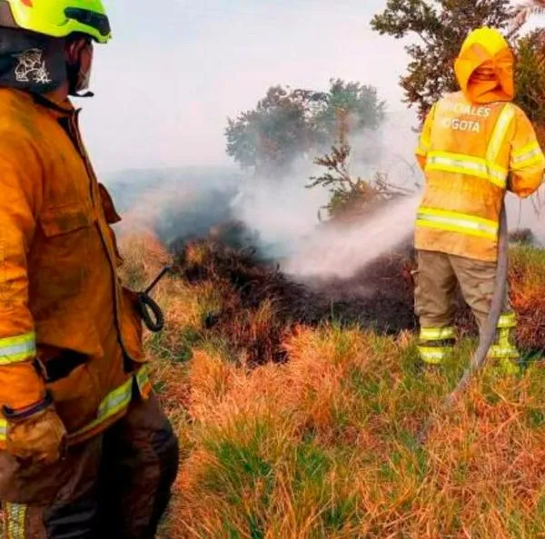 Bogotá hoy: mujer murió junto con sus mascotas en grave incendio