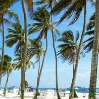 Conozca los documentos que le piden a colombianos que van a vacacionar a San Andrés; recuerde que subió el impuesto de turismo en la isla.