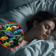 Qué números de chance y lotería puedo jugar si sueño con peces y su significado.