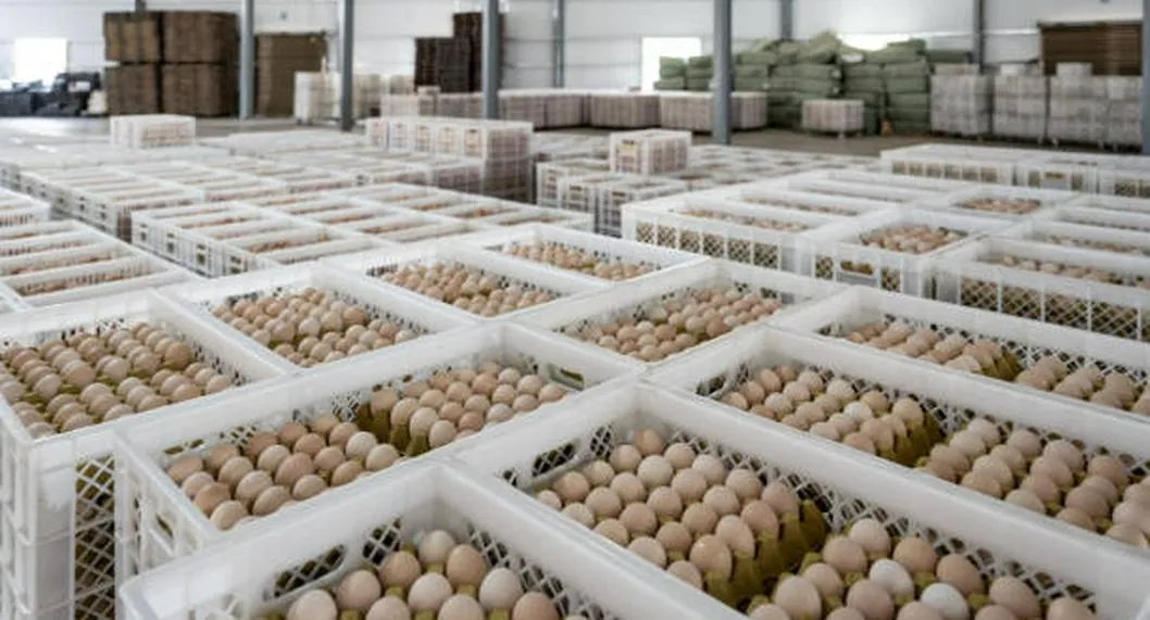 Sorpresivo anuncio con venta de huevos en Colombia; otro país pide a gritos su exportación