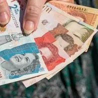 Ingreso Mínimo Garantizado y valor de transferencias; cómo consultar beneficiarios