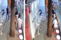 Video: Mujer fue víctima de violento robo en heladería de Laureles frente a un bebé