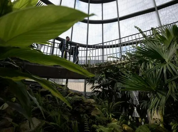 Prográmese el fin de semana: Jardín Botánico anunció cierre temporal para visitantes