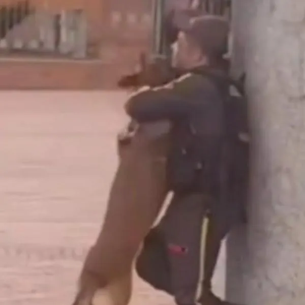 Guarda de seguridad y perro guía demuestran su amor.