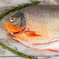 Imagen de pescados por nota sobre los más económicos en Semana Santa