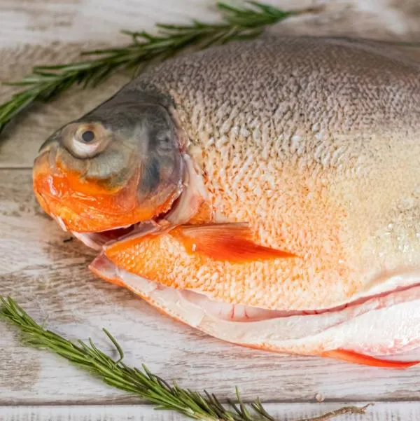 Imagen de pescados por nota sobre los más económicos en Semana Santa