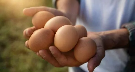 Foto de huevos, en nota de cuál es el mejor lugar para guardarlos: respuesta de lo que debería hacer
