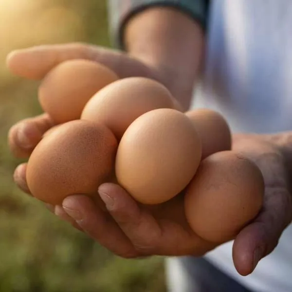 Foto de huevos, en nota de cuál es el mejor lugar para guardarlos: respuesta de lo que debería hacer