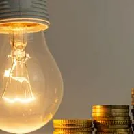 Proponen vaca para arreglar problema de tarifas de energía en el Caribe