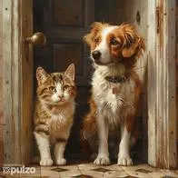 Este es el significado de que su perro o gato lo acompañen o lo esperen fuera del baño. Conozca las razones del porqué lo hacen.
